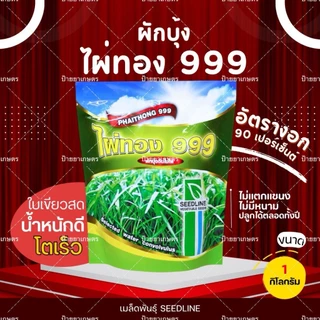 เมล็ดผักบุ้งจีน ไผ่ทอง 999 ใบเรียวแหลม โตไว เก็บเกี่ยว20 วัน ผลผลิตสูง (ขนาด1กิโลกรัม) ตราซีดไลน์