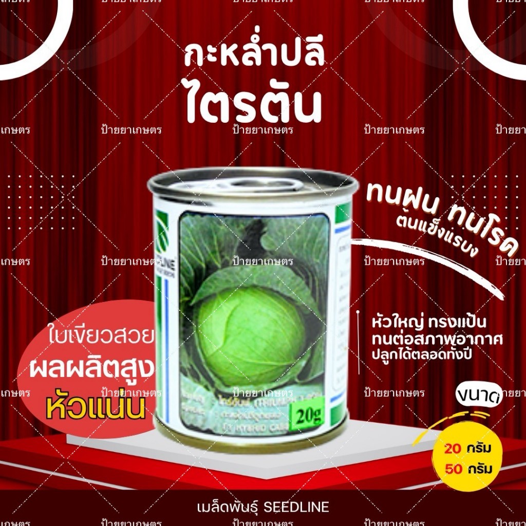 เมล็ดกะหล่ำปลี ไตรตัน F1 หัวแน่น หนัก 1.5KG. ทนโรค เก็บเกี่ยวเร็ว ขนาด20/50กรัม ตราซีดไลน์