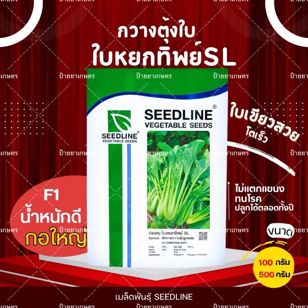 เมล็ดกวางตุ้งใบ ใบหยกทิพย์ SL (500 กรัม) ใบใหญ่พิเศษ โตเร็ว กอแน่น น้ำหนักดี ขนาด ตราซีดไลน์