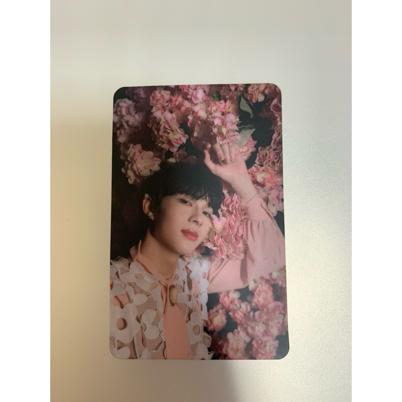 (พร้อมส่ง) random card หมอนอิง Anything  (single) Nunew