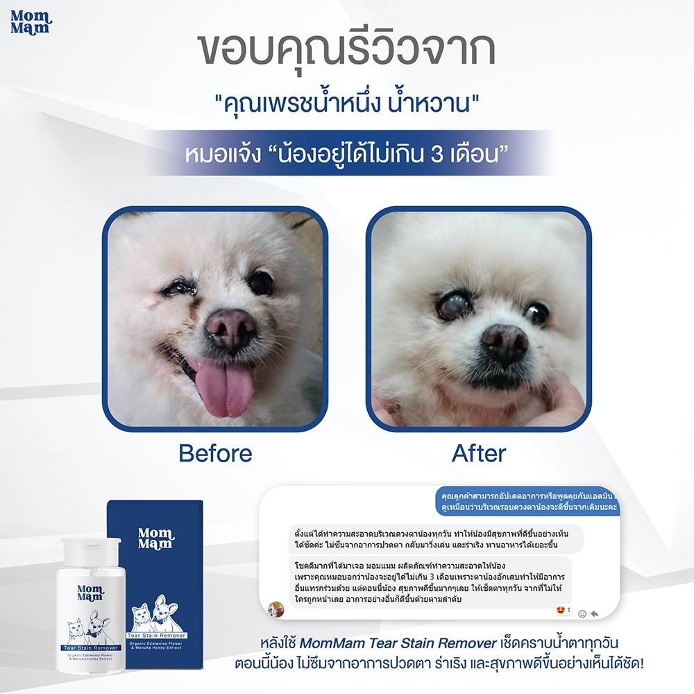 [3ขวด] มอมแมม น้ำยาเช็ดคราบน้ำตา แมว สุนัข สัตว์เลี้ยง ขนาด 100 มล. - Mommam Tear Stain Remover - รูปที่ 6