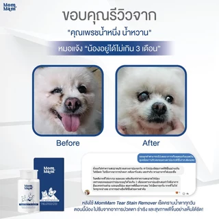 น้ำยาเช็ดคราบน้ำตา แมว สุนัข สัตว์เลี้ยง ขนาด 100 มล. - แบรนด์มอมแมม Mommam Tear Stain Remover