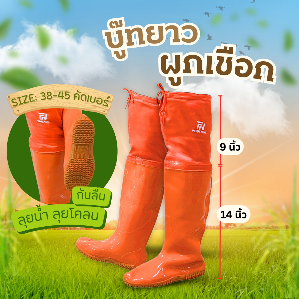 รูปภาพ 6