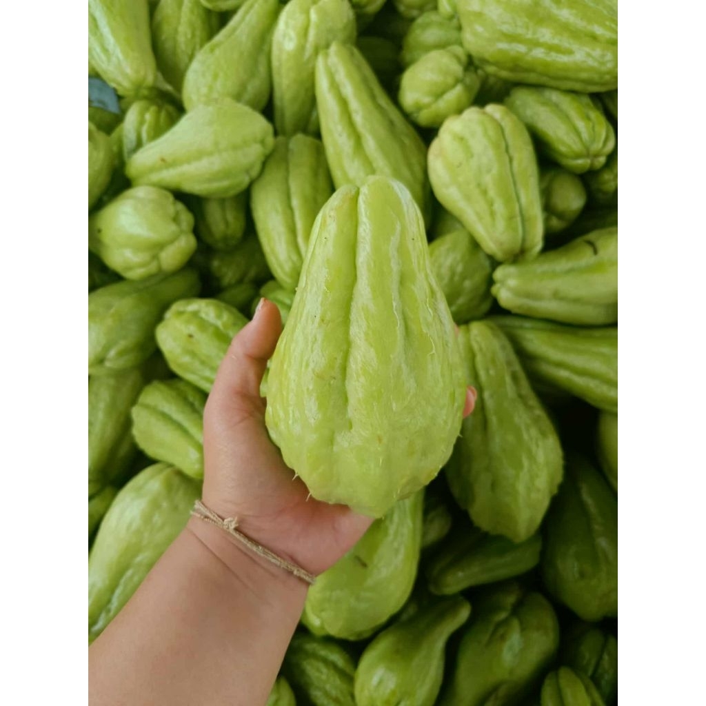 มะระหวาน1กิโลกรัม28บาท