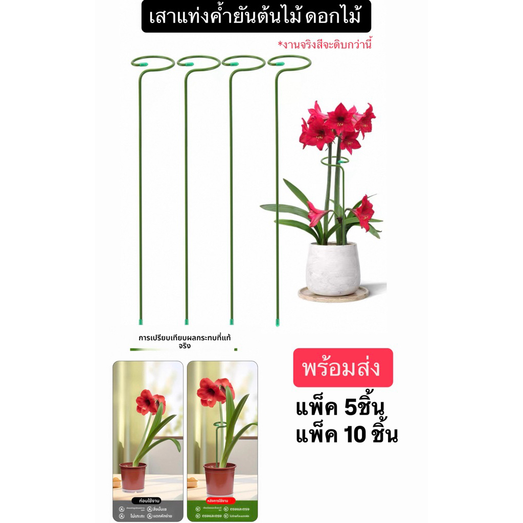 ไม้ค้ำต้นไม้ เหล็กค้ำยัน ต้นไม้ ดอกไม้ ช่วยพยุงลำต้นได้ดี ขนาดรอบวง 4.0cm (แพ็ค5,10 ชิ้น)