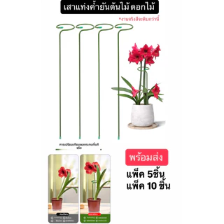 ไม้ค้ำต้นไม้ เหล็กค้ำยัน ต้นไม้ ดอกไม้ ช่วยพยุงลำต้นได้ดี ขนาดรอบวง 4.0cm (แพ็ค5,10 ชิ้น)