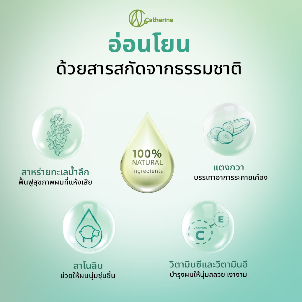 [2 ซอง] แคทเธอรีน อีซี่ แชมพูปิดผมขาวแบบซอง - ผสมสาหร่ายทะเลน้ำลึก - รูปที่ 2