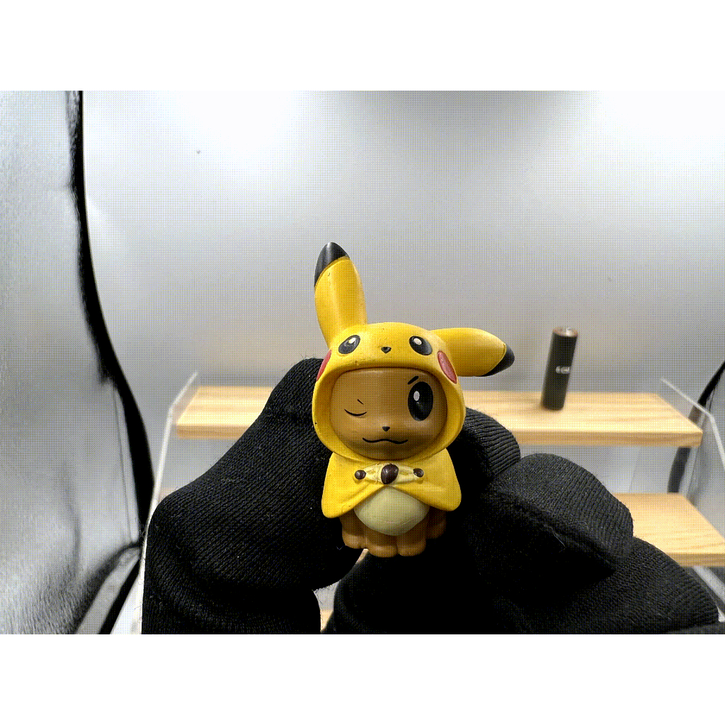 Pokemon Center Pikachu & Eevee Fan Club : Eevee