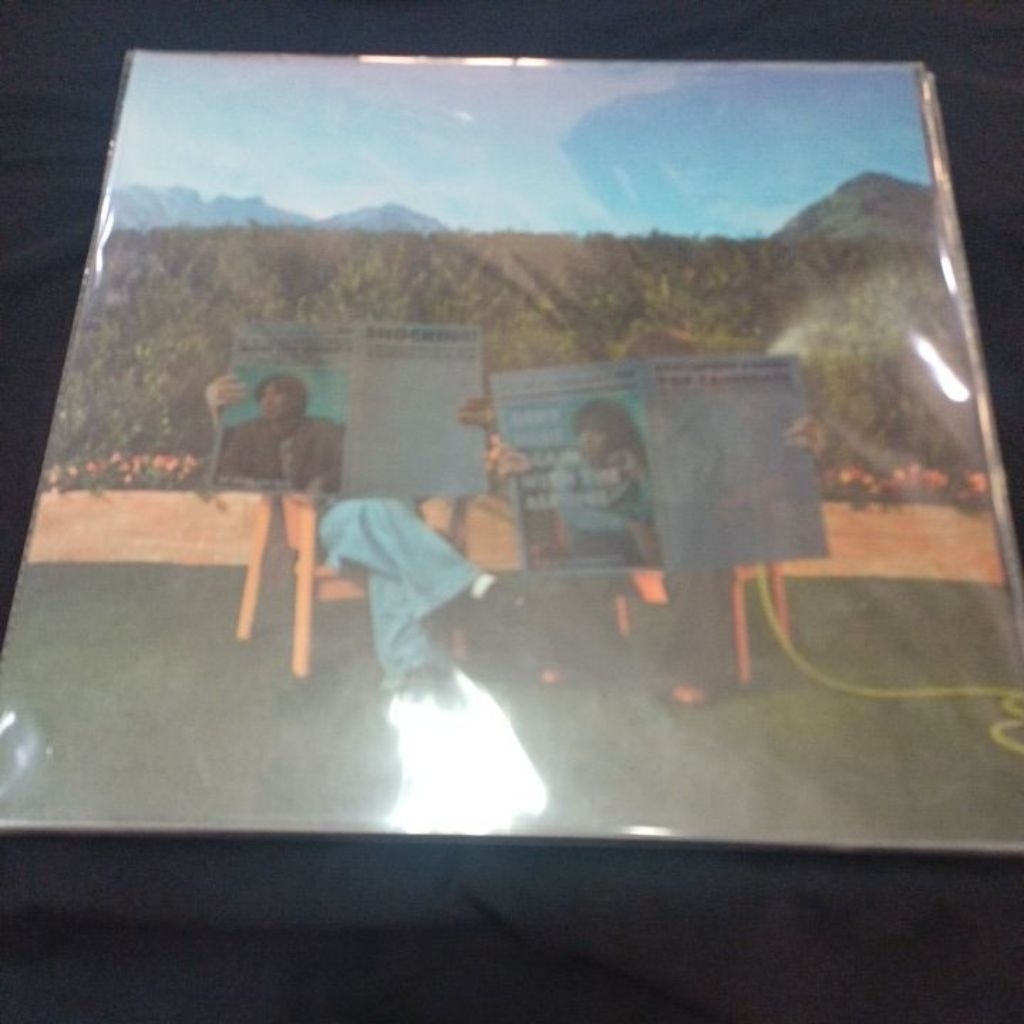 Vinyl แผ่นเสียง 12"  Dept : Hey Mom ,Did You See Me In The Newspaper?