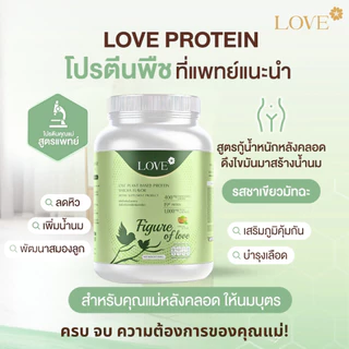(รูปแบบกระปุก) Love Plant Based Protein เลิฟ โปรตีนพืช สูตรแพทย์ รสชาเขียว (Matcha)