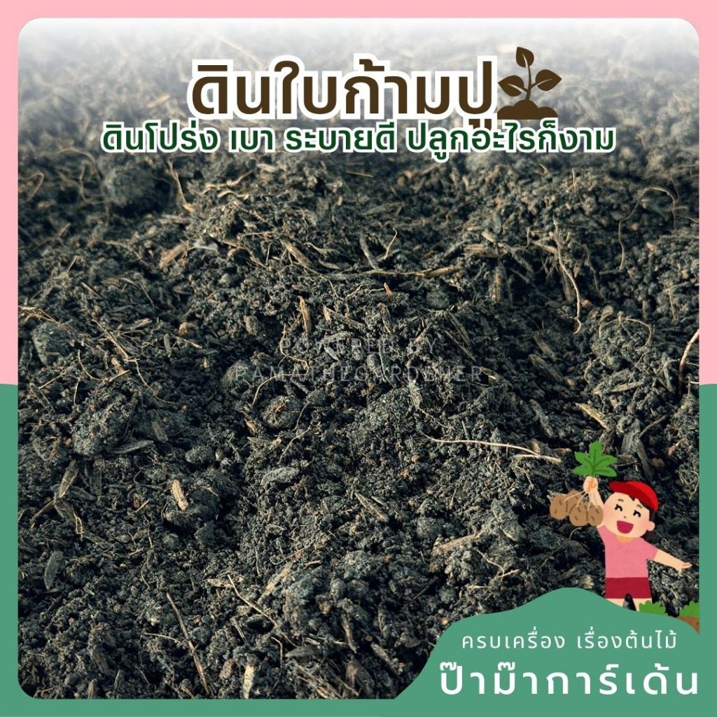 มุมมอง 4