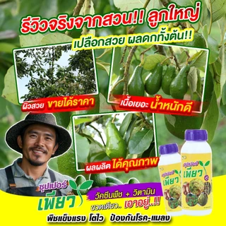 ซุปเปอร์เพียว 1 ขวด เพิ่มผลผลิต ลดปุ๋ย (วัคซีนพืช+วิตามิน) ปุ๋ยอินทรีย์ วัคซีนพืช#ปุ๋ยผลไม้