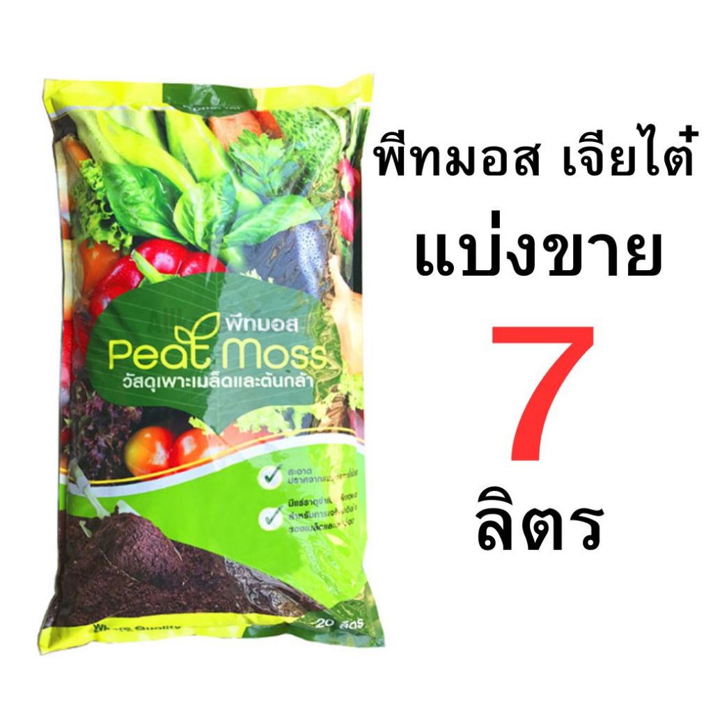 รูปภาพ 3