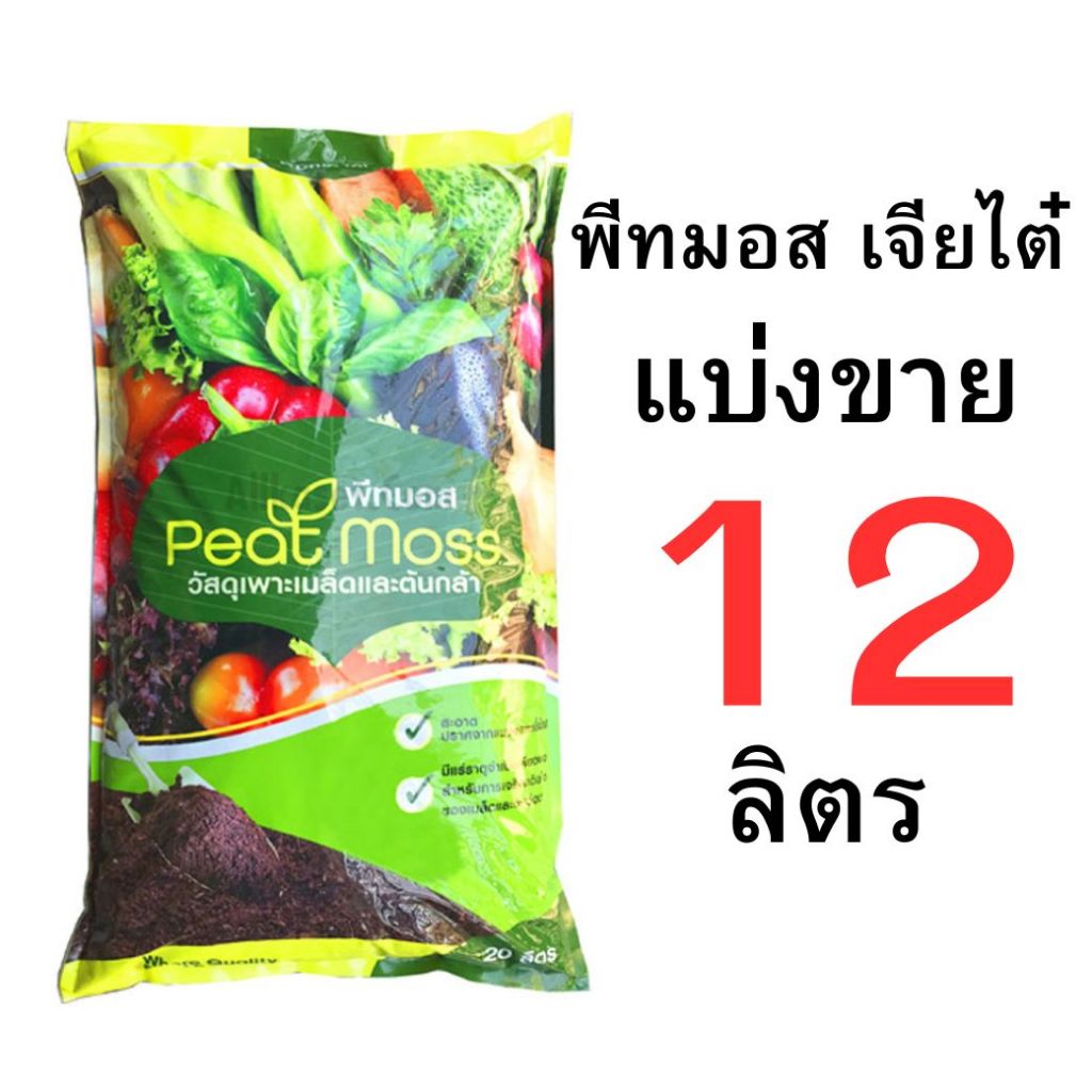 รูปภาพ 8