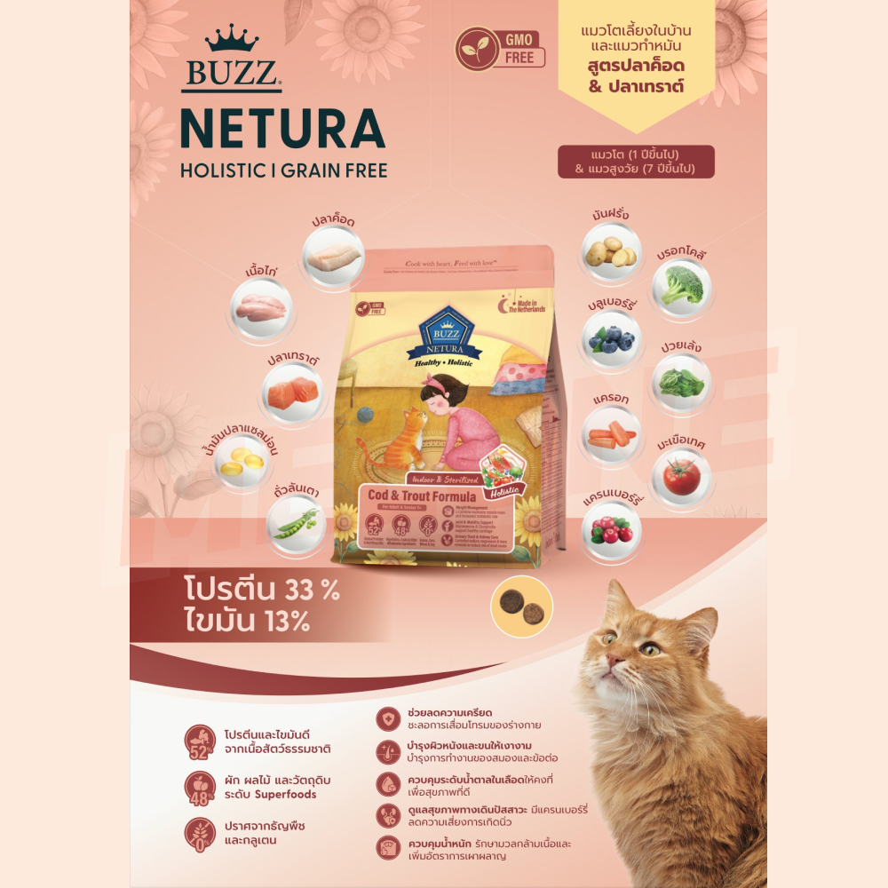 รูปภาพ 4