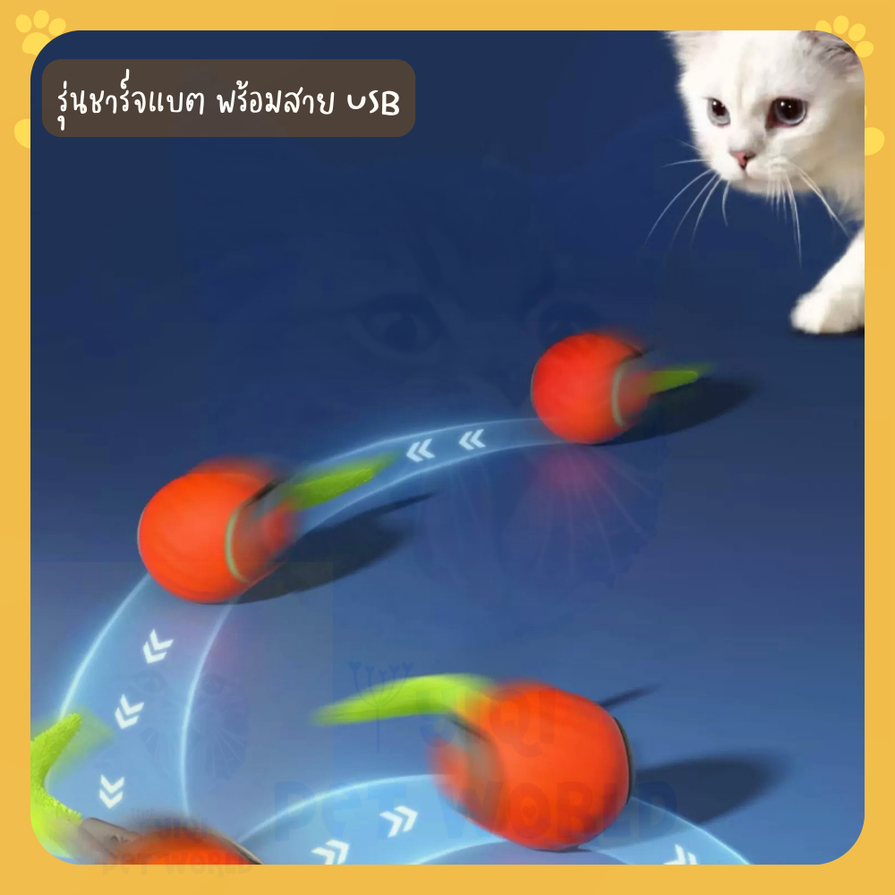 (ส่งด่วน/ส่งไว) ของเล่นแมว ลูกบอลกลิ้งอัตโนมัติ มีหางล่อแมว (Y064)