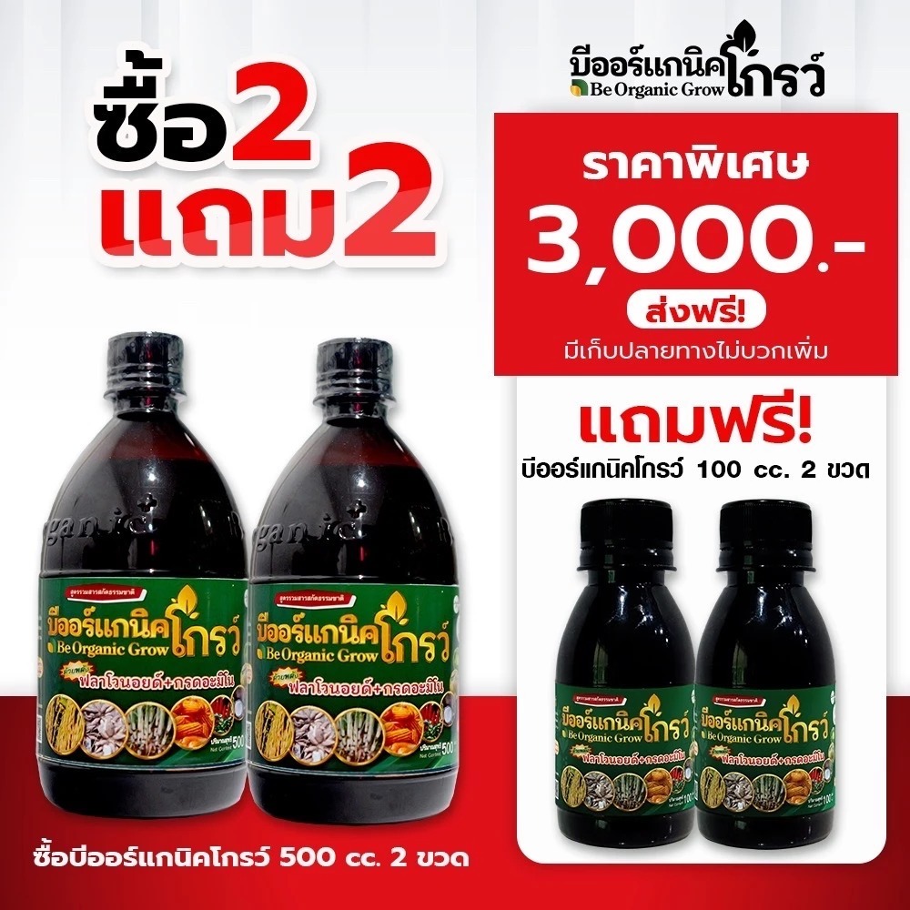 อาหารเสริมพืช บีออร์แกนิคโกรว – B Organic Grow เร่งต้น–เร่งรวง เพิ่มผลผลิตข้าว พร้อมลดสารเคมี ขนาด 5