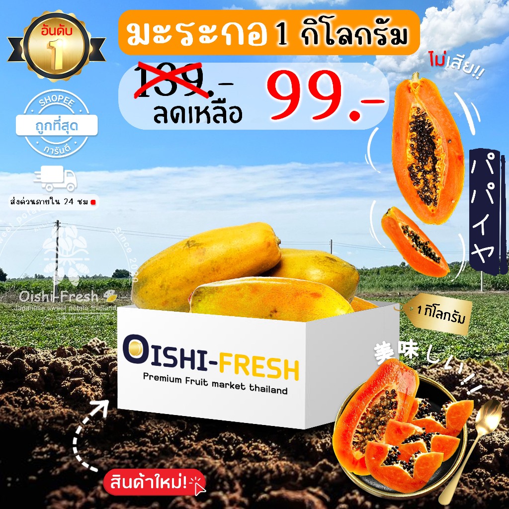 🇹🇭ส่งทันที 24ชม🥭มะละกอฮอลแลนด์ ปลอดสารพิษ 1 ลูก รสชาติหวาน นุ่ม สด ใหม่ ใยอาหารสูง หวานออร์แกนิค เคลมได้ 1-2 วัน