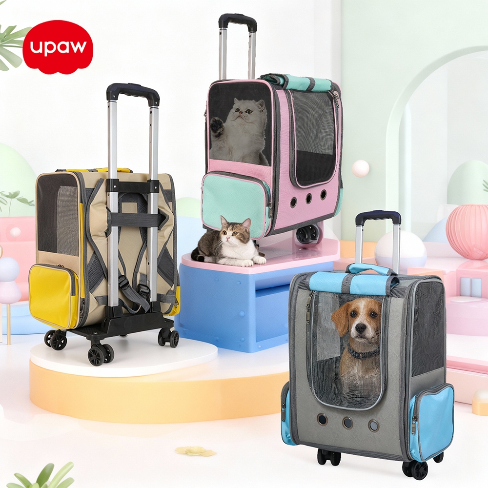 รูปภาพ 5