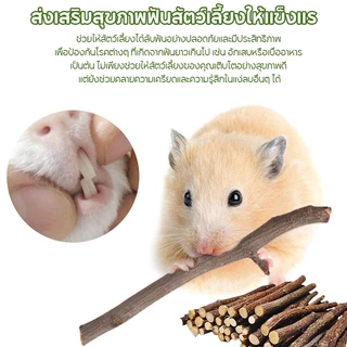 PETLUSCI ไผ่หวาน ไม้แอปเปิ้ล 500g/1kg Apple sticks ขนมลับฟันธรรมชาติ สำหรับกระต่าย หนูแฮมเตอร์