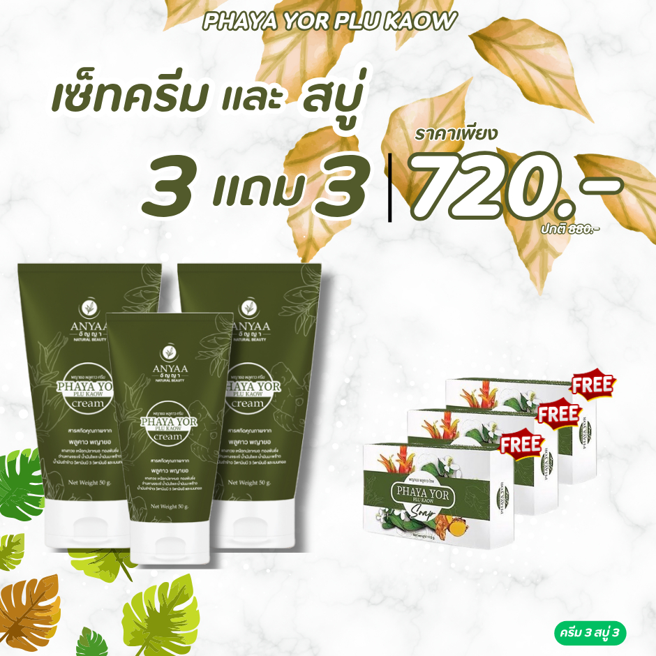 โปรครีม3+สบู่3 720.- พญายอพลูคาว  สมุนไพรแท้100% ส่งจากบริษัท