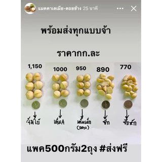 แมคคาเดเมีย เม็ดบิ่น 1kgคุ้มกว่า