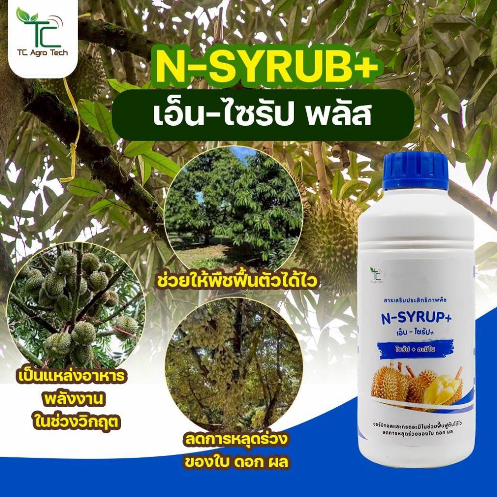 N-SYRUP PLUS (ฝาน้ำเงิน)