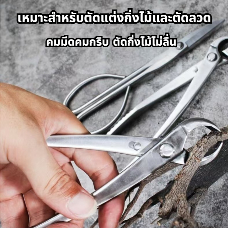 ยาว21และ29เซ็นติเมตร คีมปากนกแก้ว คีมท้องเรือ กรรไกรตัดแต่งกิ่งบอนไซ คีมตัดแต่งบอนไซ อุปกรณ์ตัดแต่งบอนไซ - รูปที่ 6