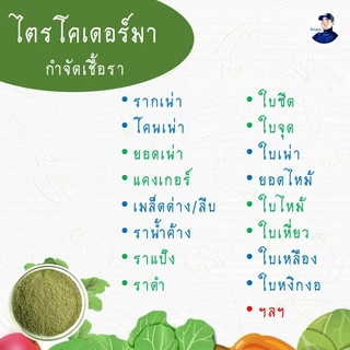 ไตรโคเดอร์มา Gongza กำจัดเชื้อรา รากเน่า โคนเน่า ไฟทอปธอรา แอนแทรคโนส ชีวภัณฑ์เกษตรอินทรีย์ ปลอดภัยต่อคน สัตว์เลี้ยง โลก