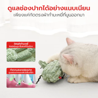 Petstar ไม้ล่อแมว ไม้ตกแมว ของเล่นแมว Pet toy ช่วยเสริมทักษะ กระตุ้นการเล่นและออกกำลังกาย