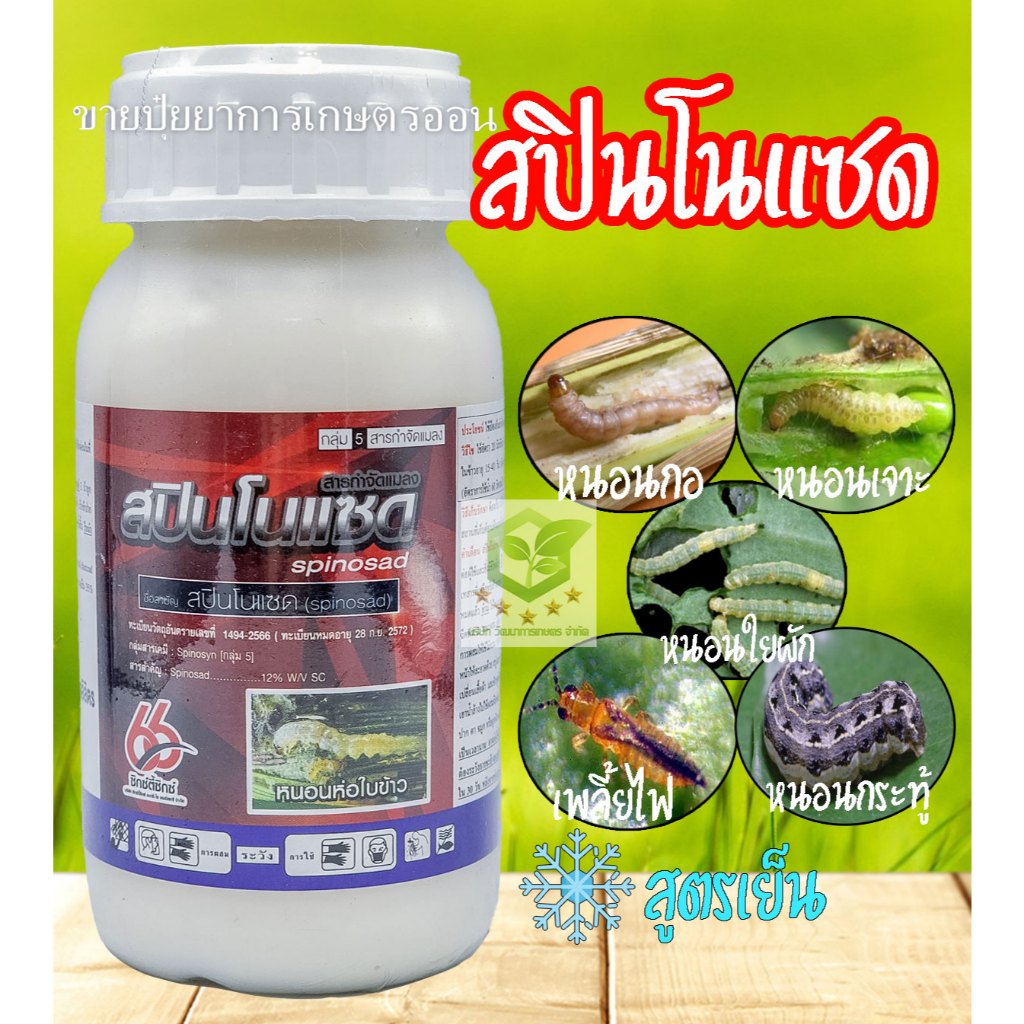 สปินโนแซด 66 ขนาด 250cc ยาเย็น กำจัดหนอนและเพลี้ยไฟ ทั้งถูกตัวตายกินตาย  (spinosad..12%SC)
