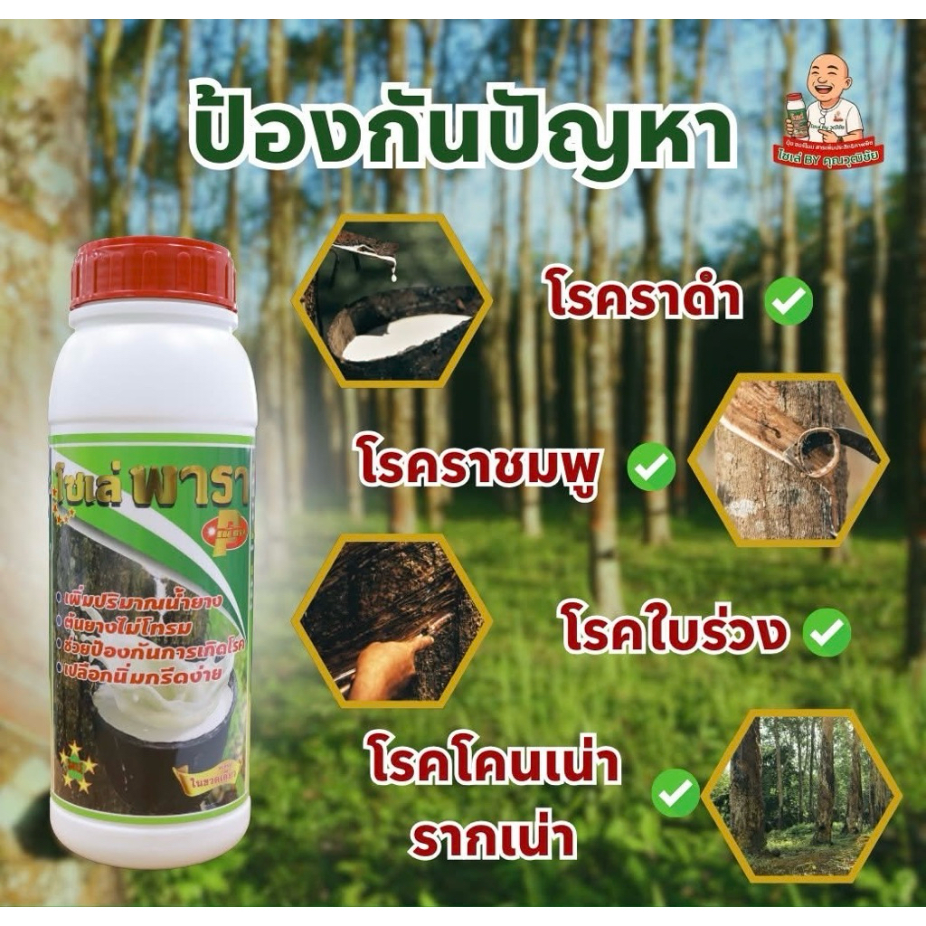 โซเล่พารา พรีเมียม ยาทาหน้ายาง สูตรพิเศษ!! ฝาแดง เปลือกนิ่ม กรีดง่าย เพิ่มปริมาณน้ำยาง ป้องกันการเกิดโรค ขนาด 500มล. ราคา ถูกที่สุด ดีลบีเคเค แกลเลอรีภาพที่ 4