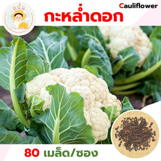 เมล็ดพันธุ์ กะหล่ำดอก Cauliflower ดอกสีขาวครีม มีใบห่อหุ้มดอ…