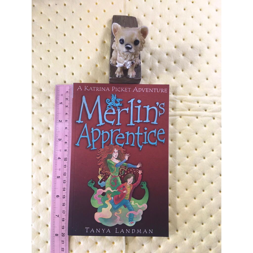 Merlin’s Apprentice by Tanya Landman หนังสือวรรณกรรมภาษาอังกฤษ(ปกเเข็งมือสอง)