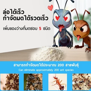 ซื้อ2แถม1 (โปรโมชันจำกัดเวลา)ยาฆ่ามดแบบผง 60g กำจัดมดทั้งรัง โรยเดียวตายยกรัง 100%เห็นผล ปลอดภัยต่อสัตว์เลี้ยง