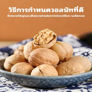 วอลนัท 400 กรัมต่อถุง เปลือกทั้งอบกรอบและหวาน เติมพลังสมอง รสชาติกรอบและบ๊อง