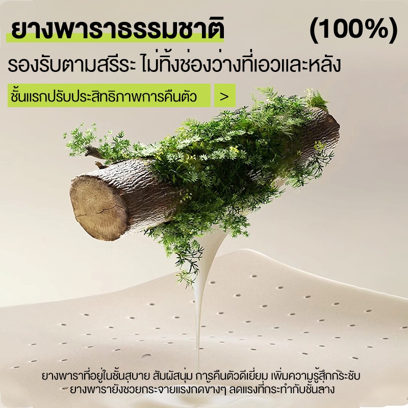 DreamHug ที่นอนยางพา