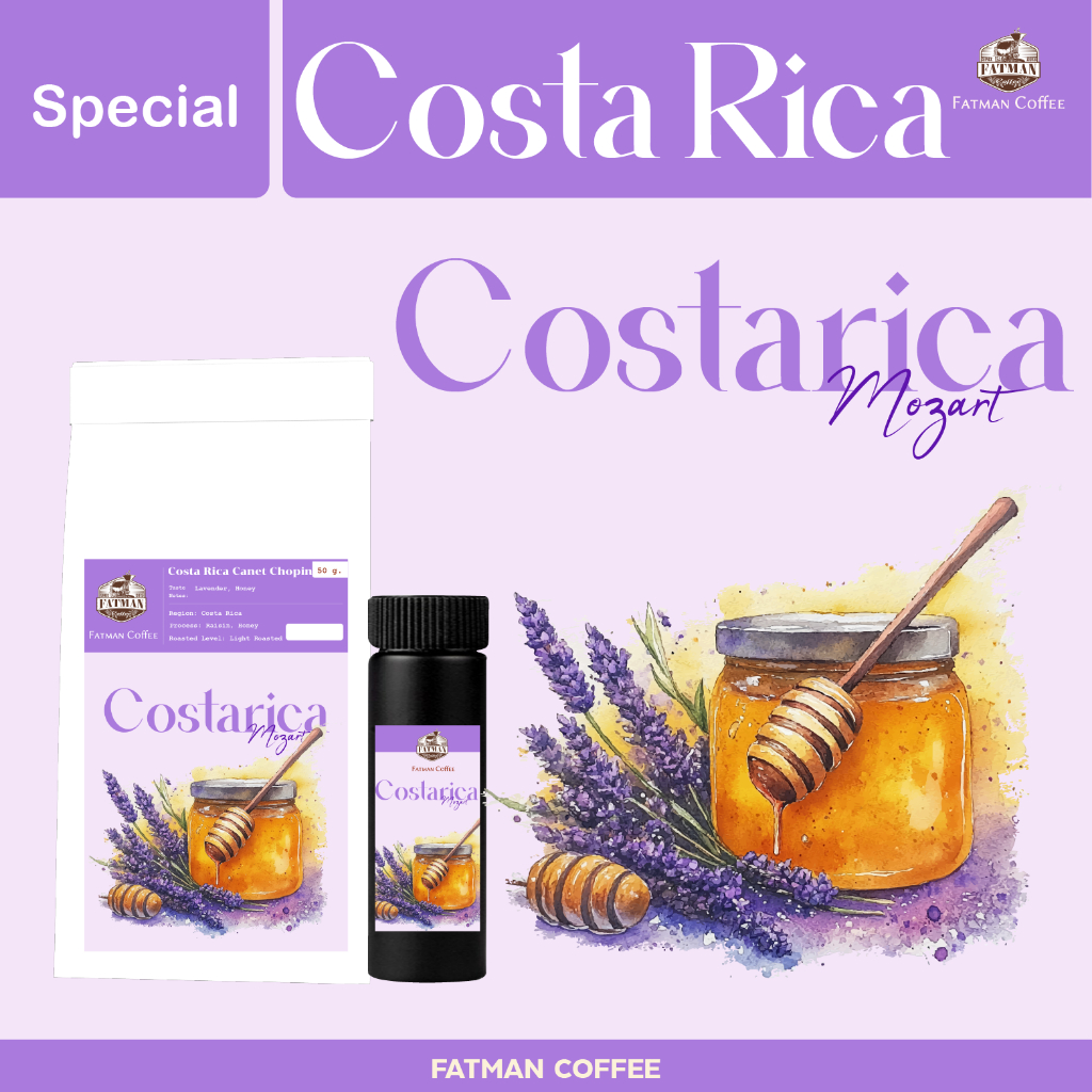 เมล็ดกาแฟ Costa Rica Canet Mozart ขนาดพิเศษ