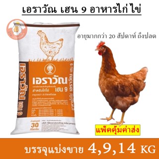 เอราวัณ เฮน 9 อาหารไก่ไข่ อายุมากกว่า 20 สัปดาห์ถึงปลด