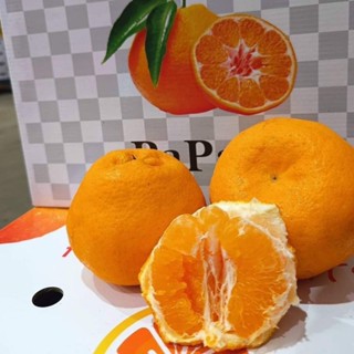 (1kg.)ส้มจุก,เดโกปอง รสชาติเข้มข้น หอม อร่อย เก็จส้มคล้ายส้ม…