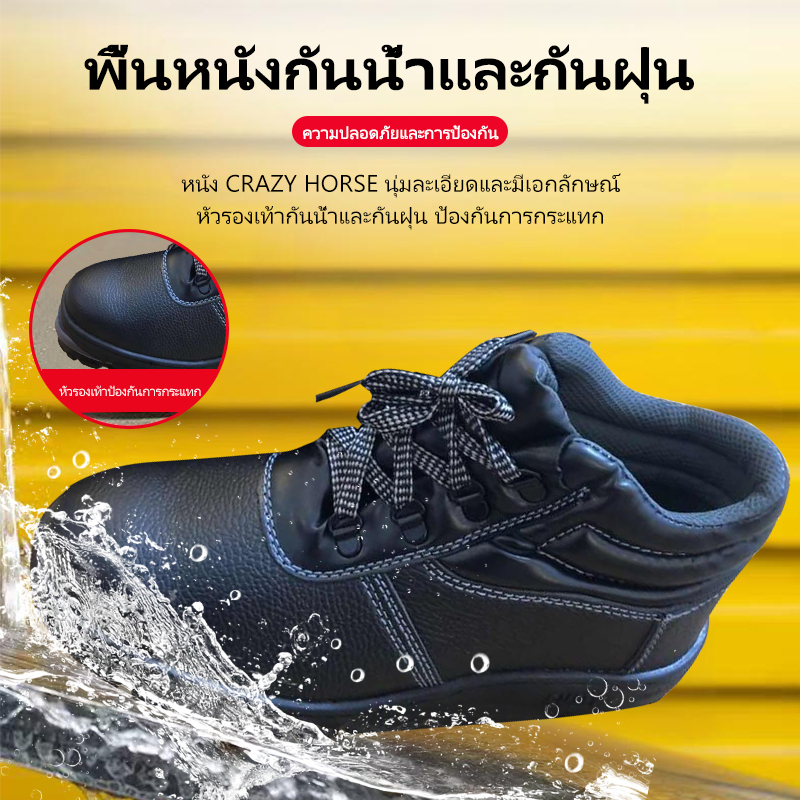 รูปภาพ 5