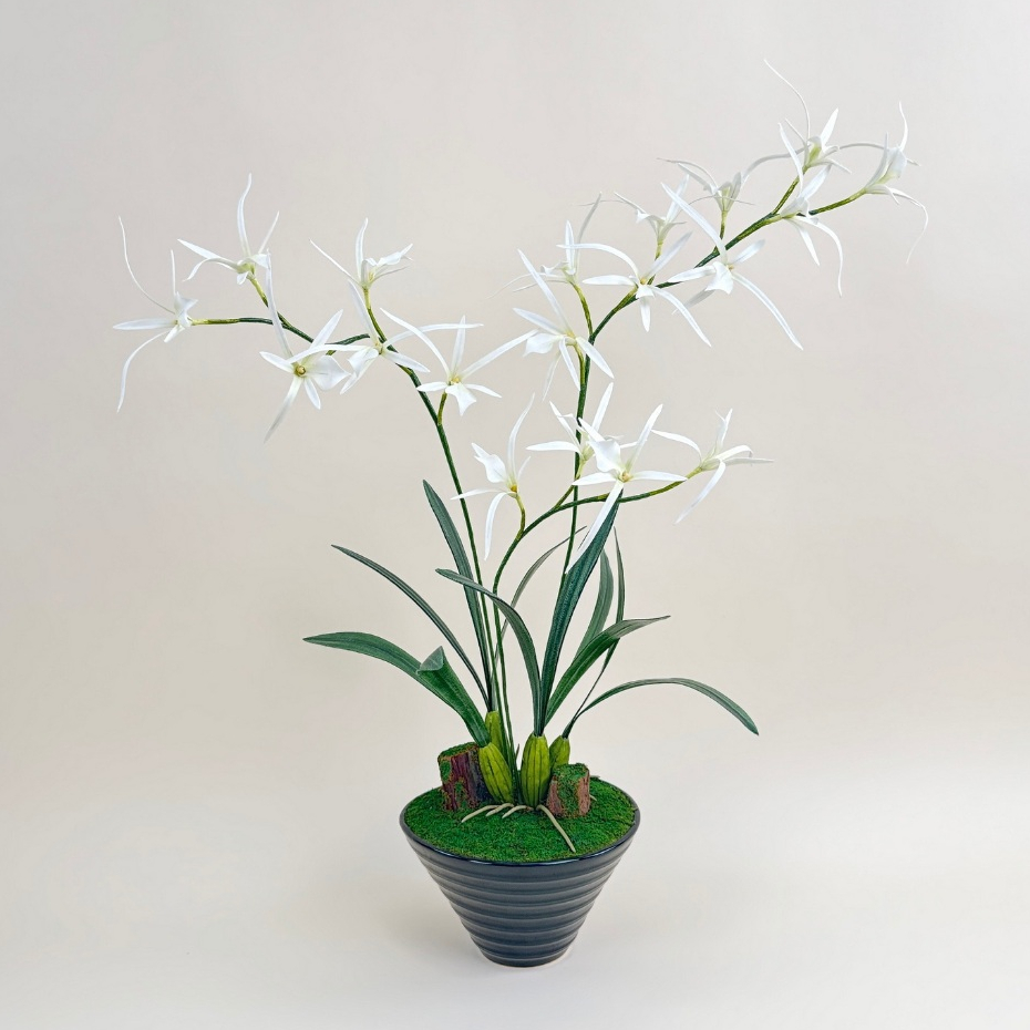 Akara Dokmaii กระถางกล้วยไม้ประดิษฐ์ Spider Orchid pot