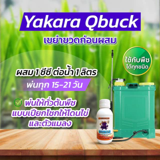 Qbuck ขนาด 100 ml สารป้องกันแมลงชีวภาพ Yakara สูตรน้ำมันเย็น วิตามินอี ป้องกันศัตรูพืช