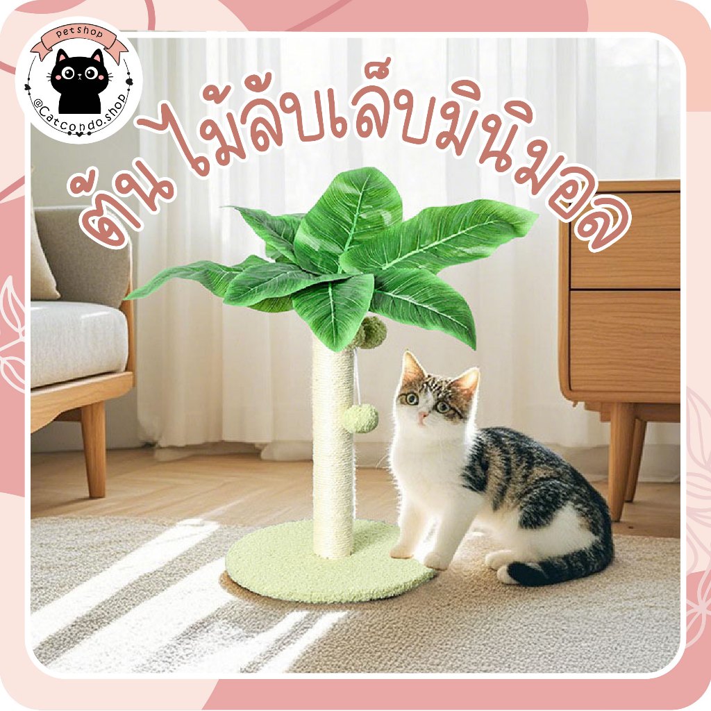 🌵 ต้นไม้32cm 38cm 65cm เสาลับเล็บแมวทรงต้นไม้ ต้นไม้ลับเล็บ ต้นไม้แมว เสาลับเล็บแมว ที่ลับเล็บแมว ของเล่นแมว 🌵