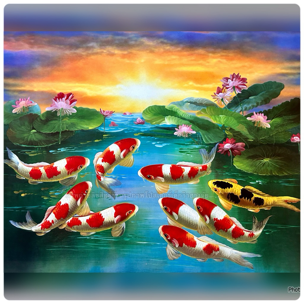รูปภาพ ปลาคราฟ 9 ตัว ปลามงคล ขนาด 40x50 cm. ภาพโปสเตอร์ตกแต่งผนังห้อง บ้าน คอนโด ไม่มีกรอบรูป