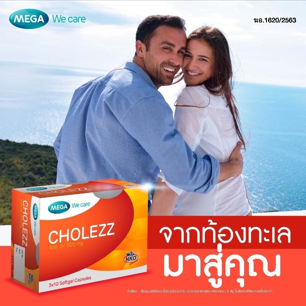 Cholezz Mega We care