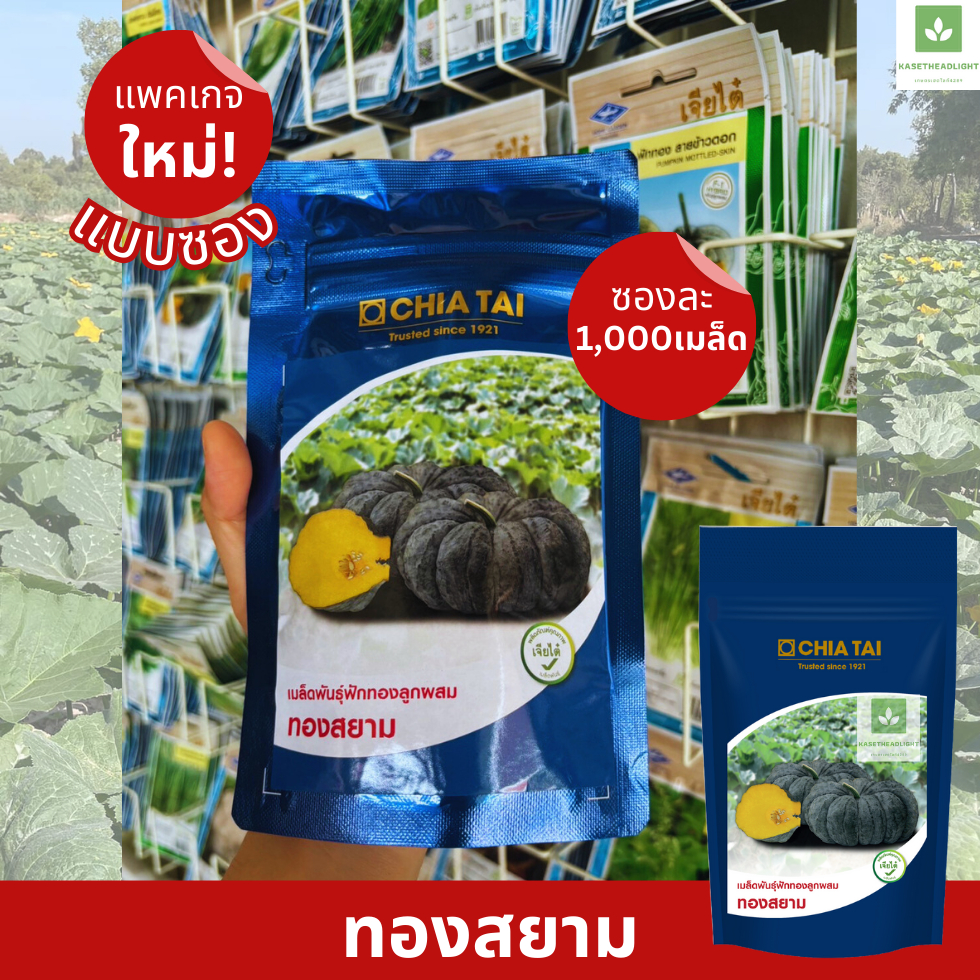 ฟักทองทองสยาม สุดยอดฟักทองทนไวรัส  เจียไต๋ 1,000เมล็ด ฟักทองเจียไต๋ เมล็ดพันธุ์ฟักทอง