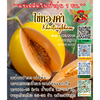 ไข่ทองคำ (Khaithongkham) 50 เมล็ด เมล่อน F1 เทพมงคลฟาร์ม แท้…