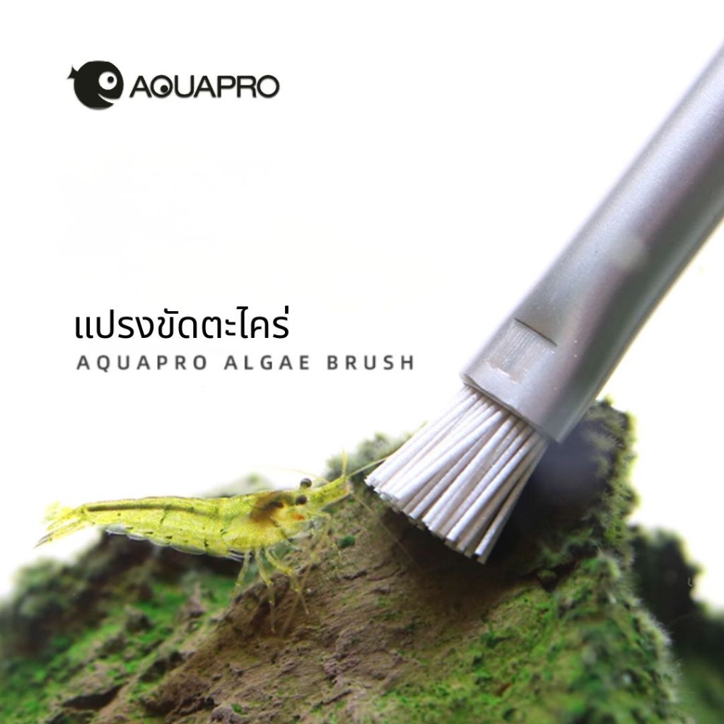 Aquapro แปรงขัดตะไคร่ Algae Brush