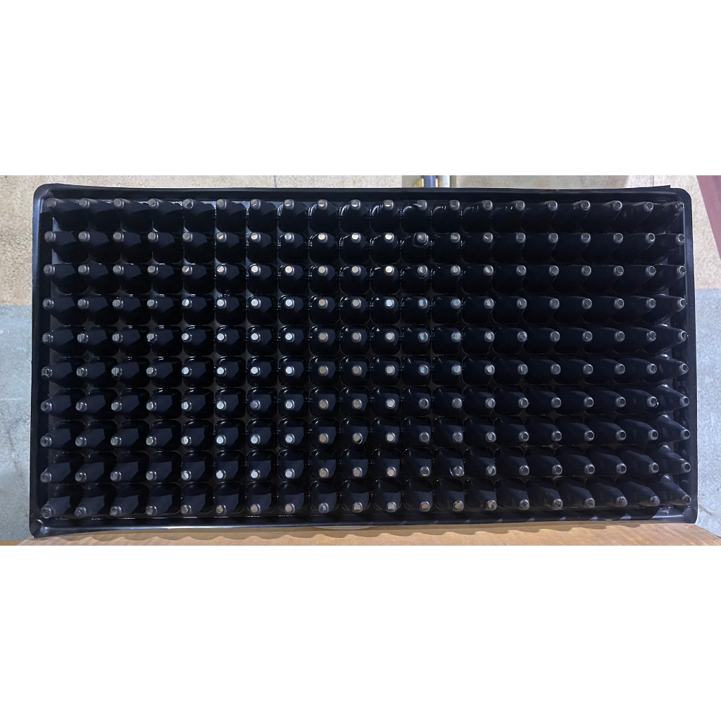 (10ใบ) ถาดเพาะกล้า(เรือใบ) แบบมีขอบ ขนาด : 60 หลุม/104 หลุม/105 หลุม / 200 หลุม